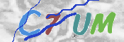 Obrazek CAPTCHA